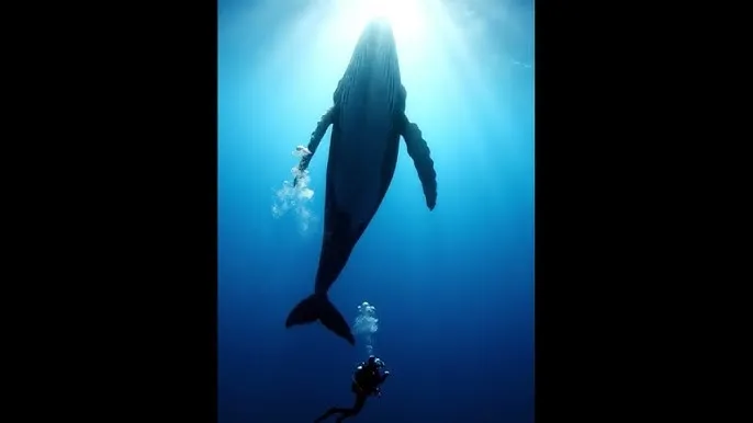 ipad2019 - 深蓝星球：探索海洋深处的未知世界